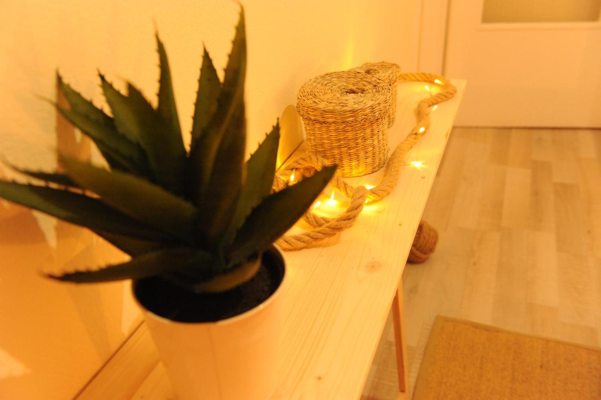Apartament Delphic Moments - Sunny App 3Br, 2Ba With View Zewnętrze zdjęcie